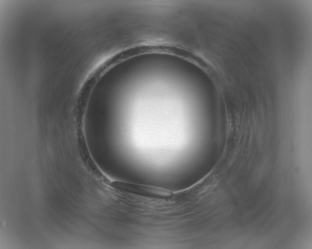 X0000054471311200508121953