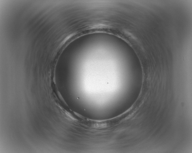 X0000054471313200508121953