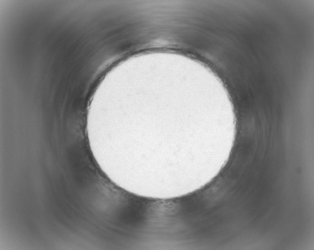 X0000054471314200508121953