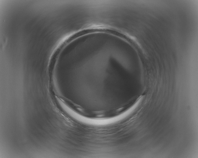 X0000054471319200508121953