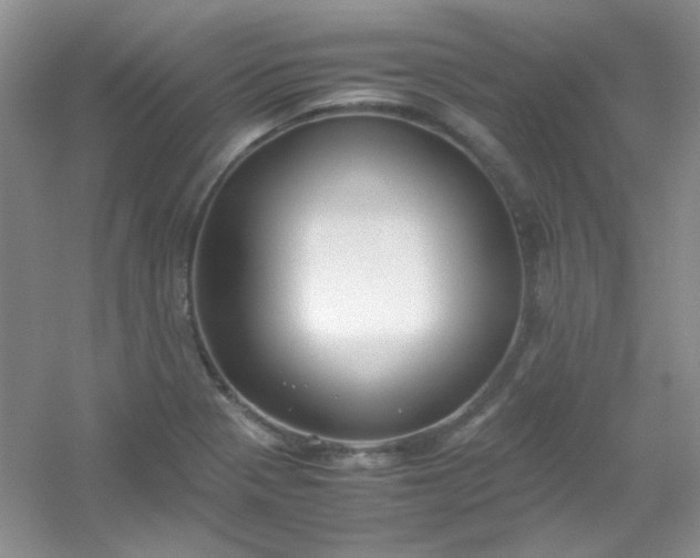X0000054471321200508121953