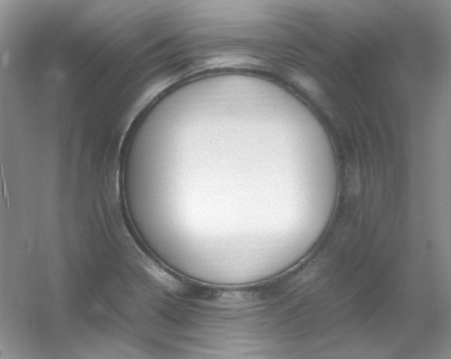 X0000054471322200508121953