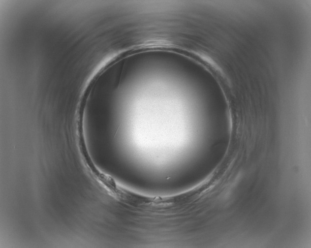 X0000054471325200508121953