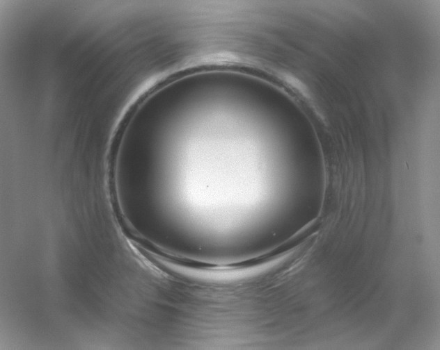 X0000054471326200508121953