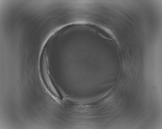 X0000054471327200508121953