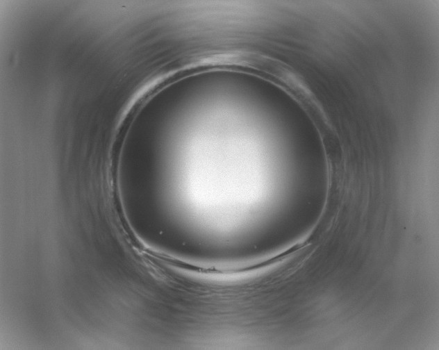 X0000054471328200508121953
