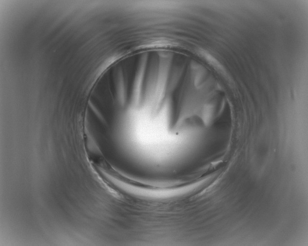 X0000054471329200508121953