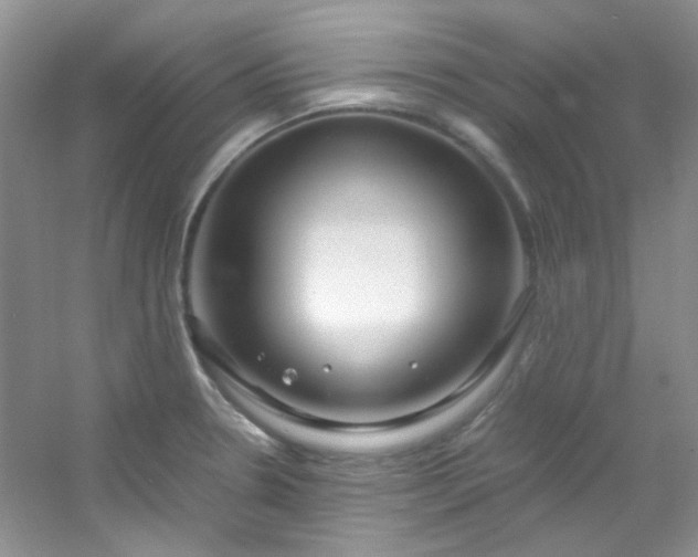X0000054471330200508121953