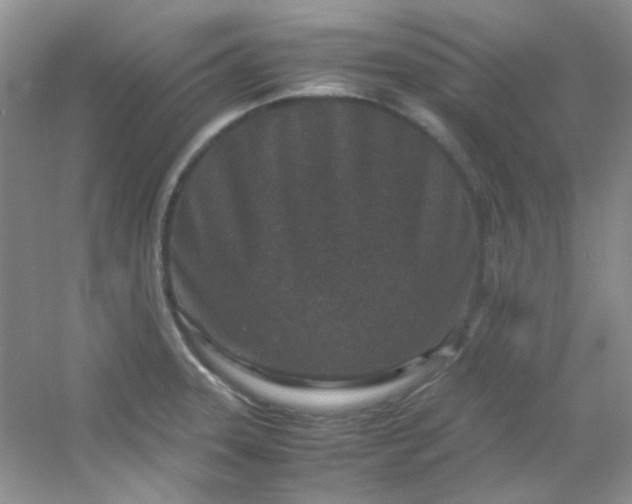 X0000054471331200508121953