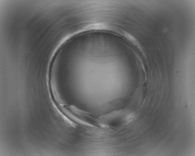 X0000054471334200508121953