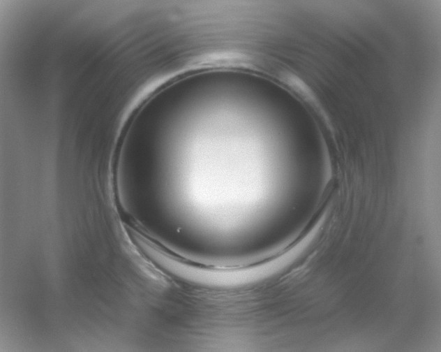 X0000054471336200508121953