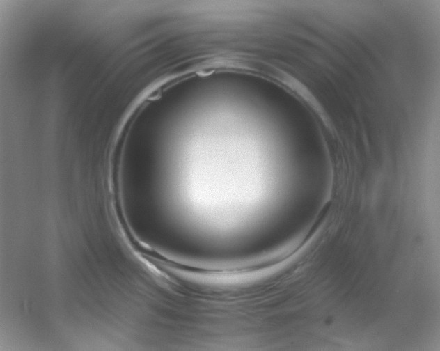 X0000054471339200508121953