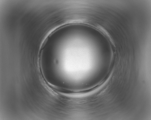 X0000054471340200508121953