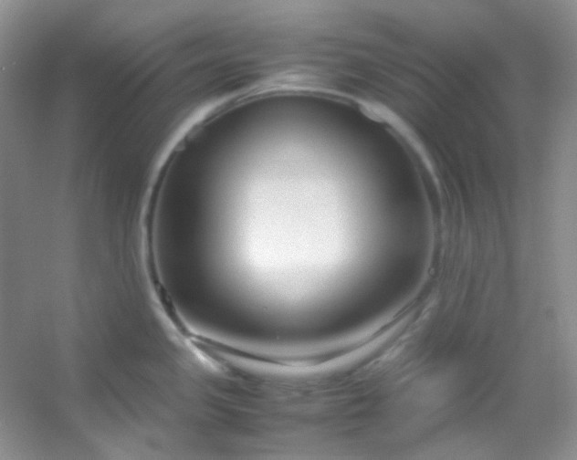 X0000054471341200508121953