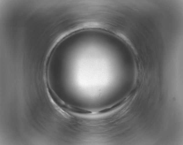 X0000054471342200508121953