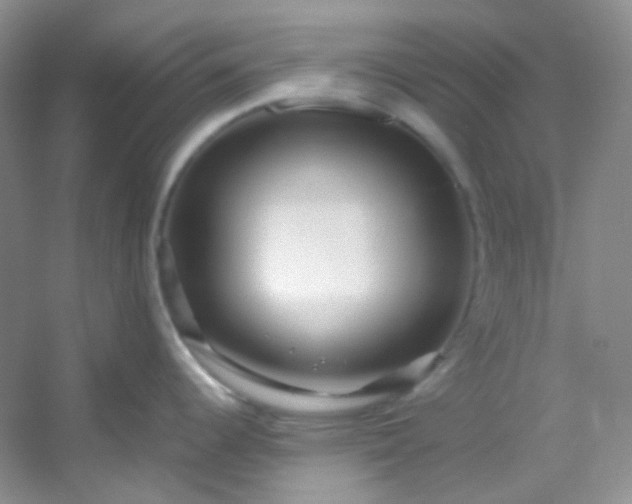 X0000054471344200508121953