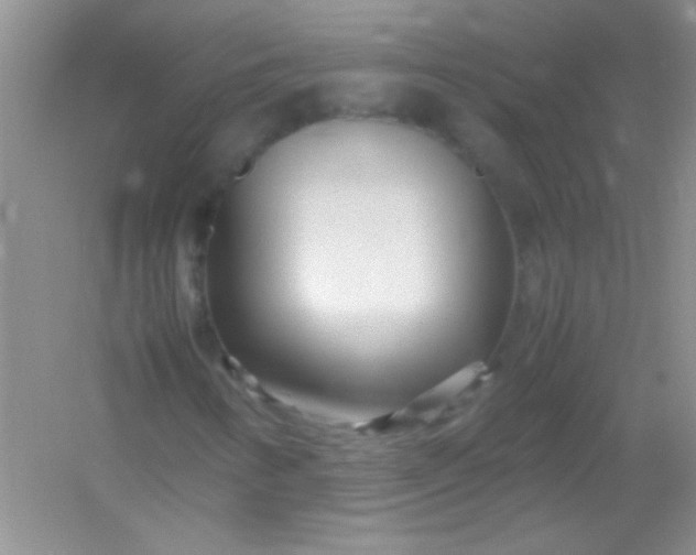 X0000054471346200508121953