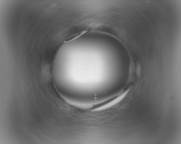 X0000054471347200508121953
