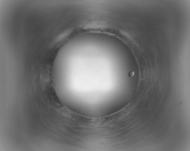 X0000054471350200508121953