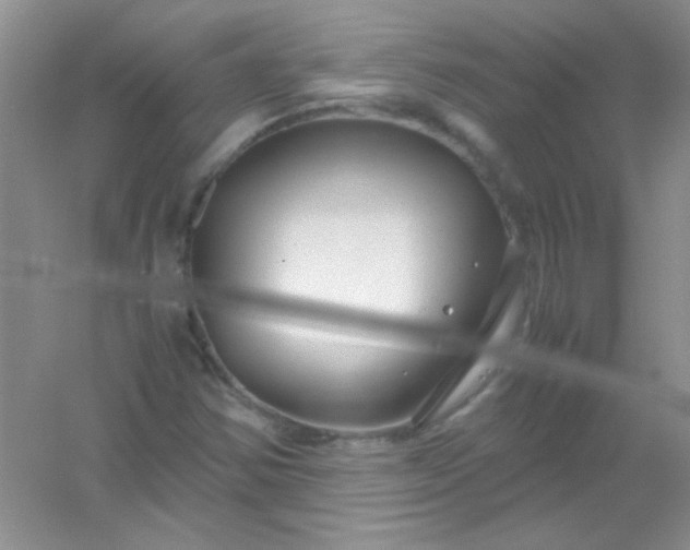 X0000054471354200508121952
