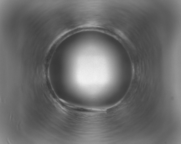 X0000054471356200508121952