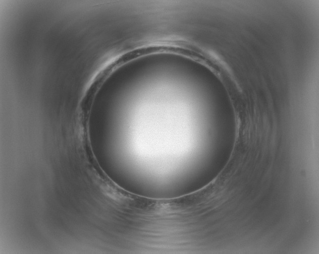 X0000054471360200508121952