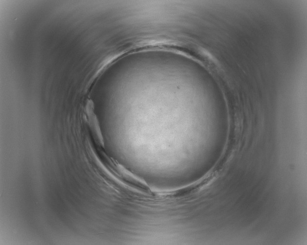 X0000054471361200508121952