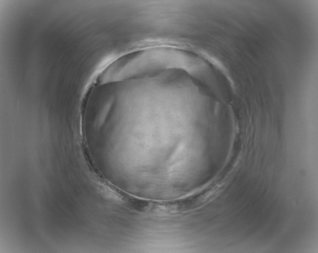 X0000054471365200508121952