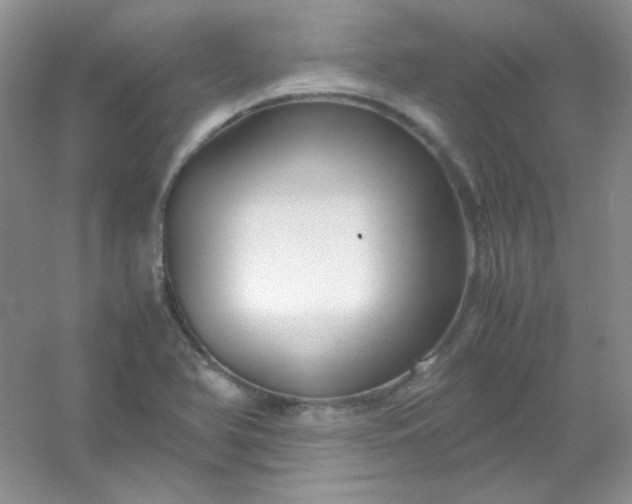 X0000054471366200508121952