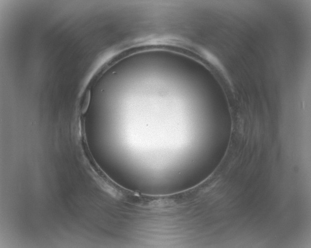 X0000054471368200508121952