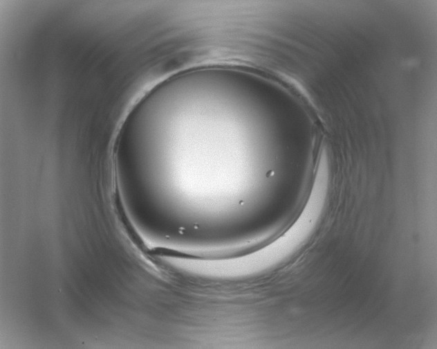 X0000054471371200508121952
