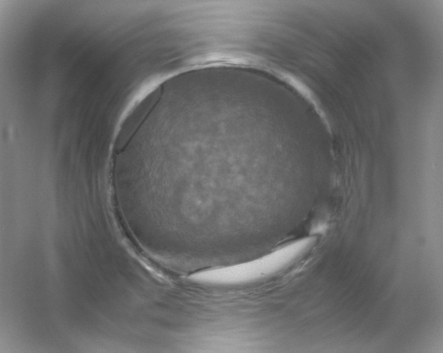 X0000054471373200508121952