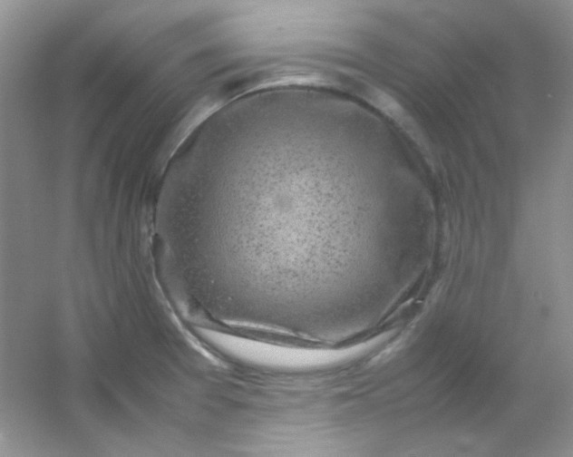 X0000054471377200508121952