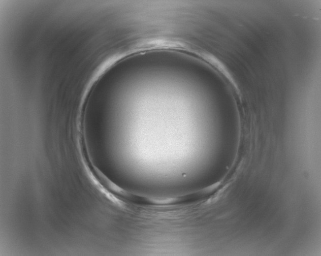 X0000054471381200508121952