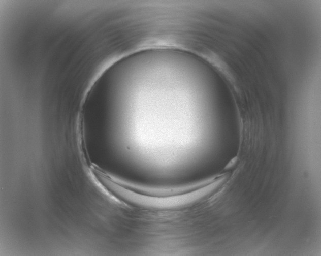 X0000054471382200508121952
