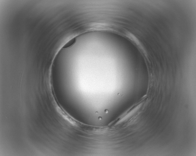 X0000054471386200508121952