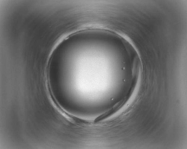 X0000054471389200508121952