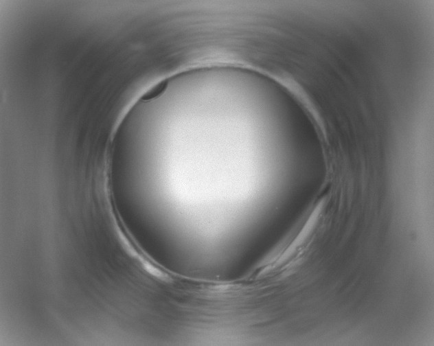 X0000054471390200508121952