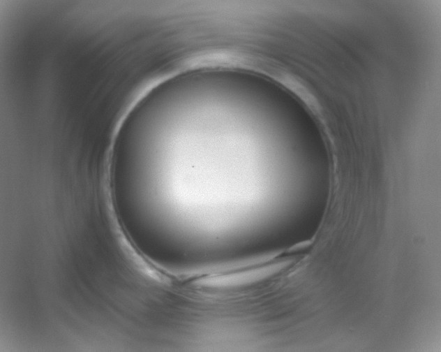 X0000054471392200508121952