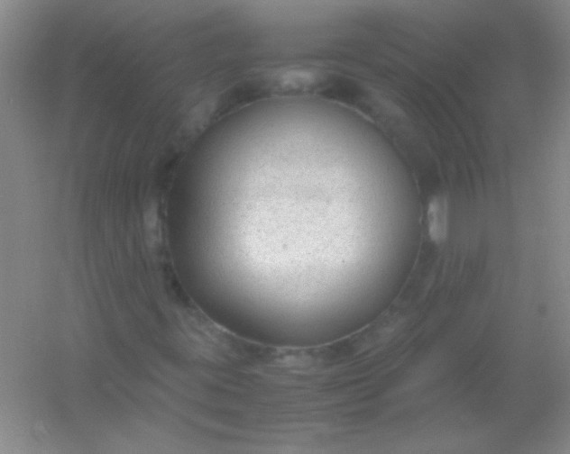 X0000054471395200508121951