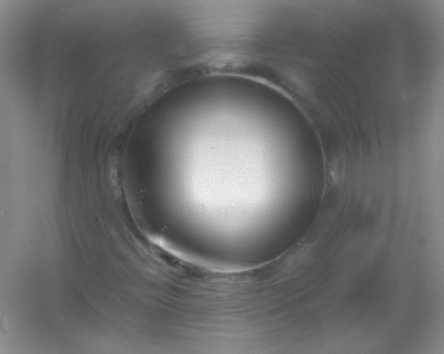 X0000054471396200508121951