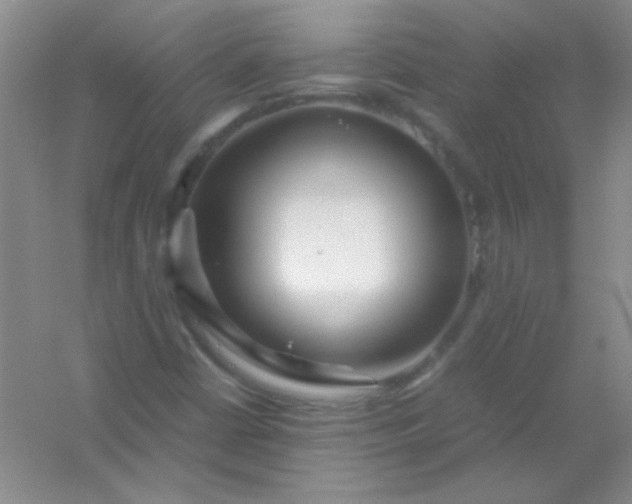 X0000054471402200508121951