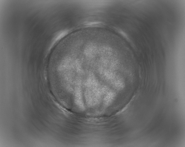X0000054471405200508121951