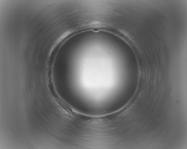X0000054471410200508121951