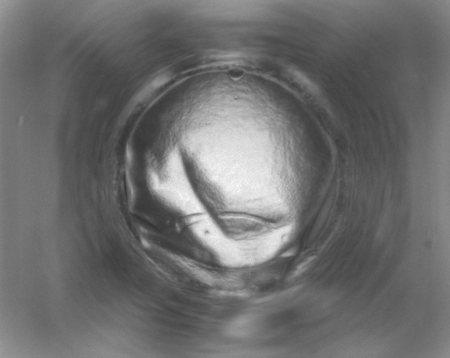X0000054471411200508121951
