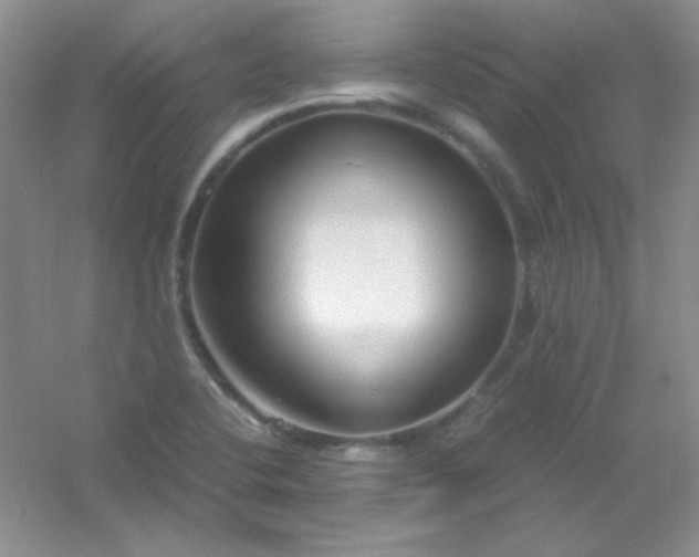X0000054471412200508121951