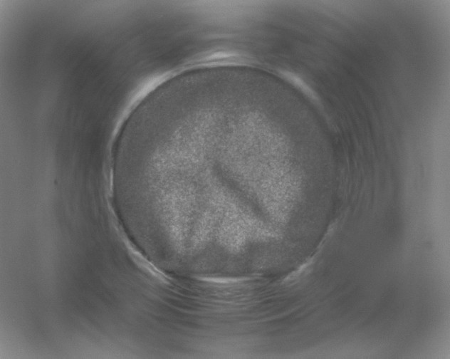 X0000054471413200508121951