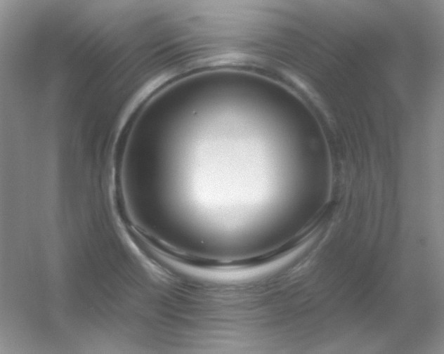 X0000054471418200508121951