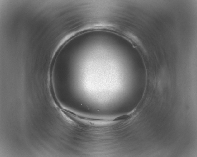 X0000054471420200508121951
