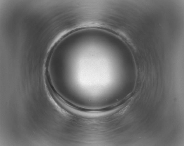 X0000054471422200508121951